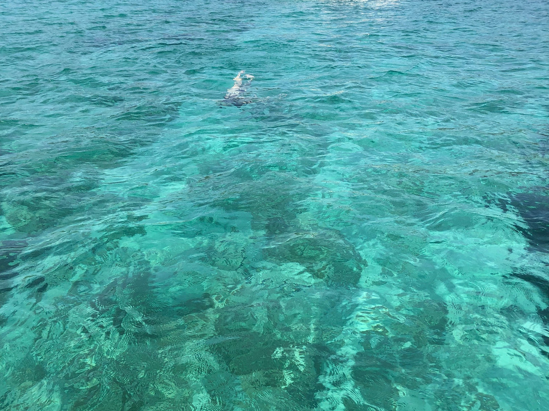 Just Book Croatia-斯普利特必去景点