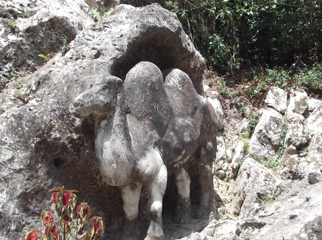Zoologico de Piedra景点图片