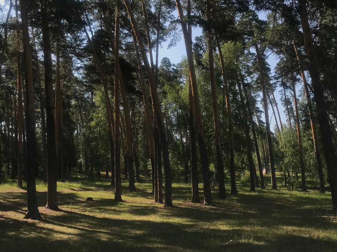 Paustovskiy Park Hotel主图