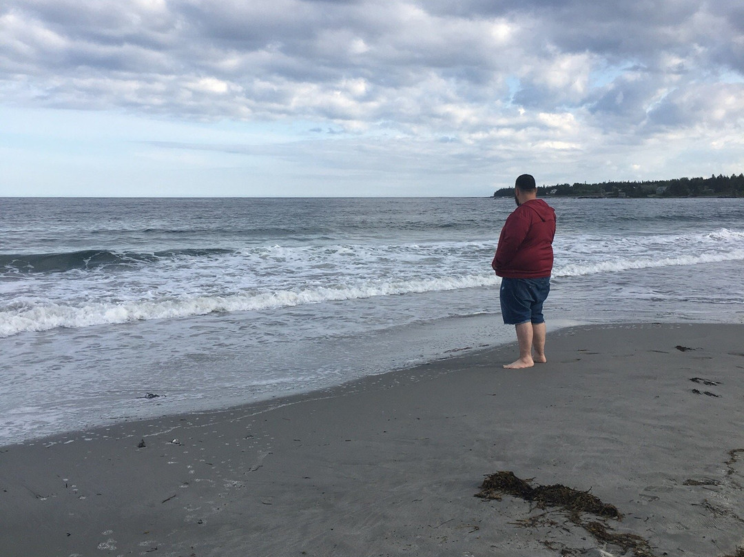 Bayswater Beach Provincial Park景点图片