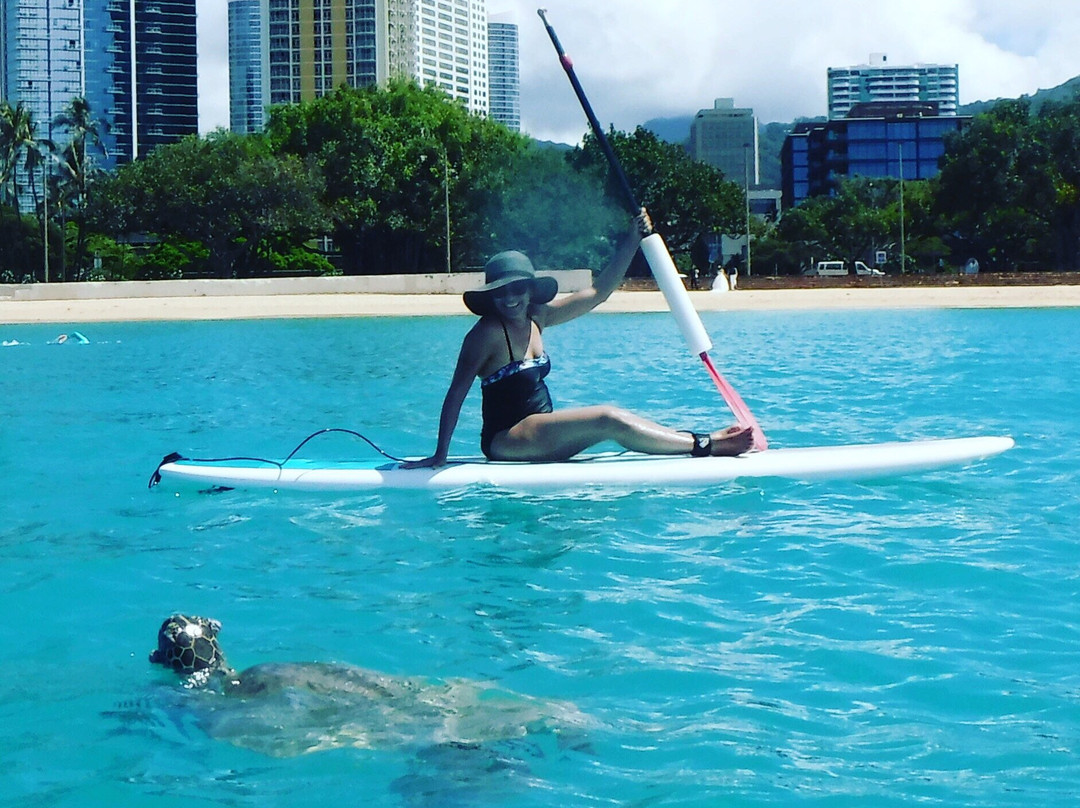 Pure Aloha Adventures-火奴鲁鲁必去景点