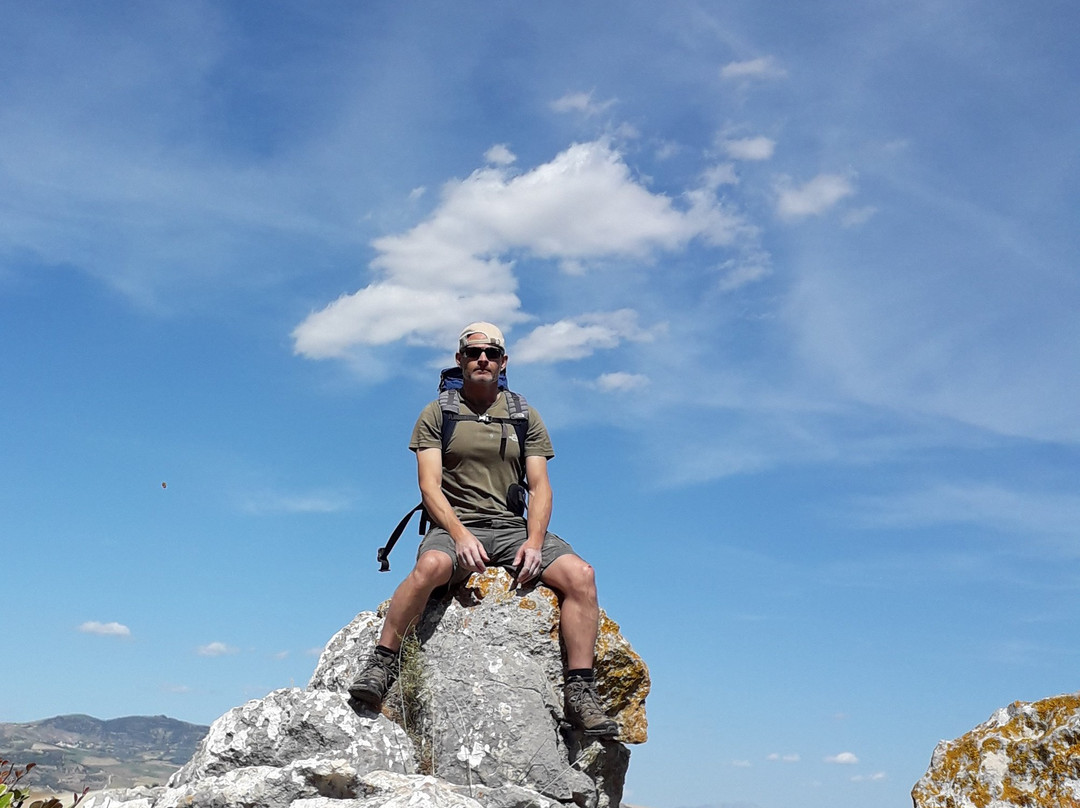 The Olive Branch El Chorro主图