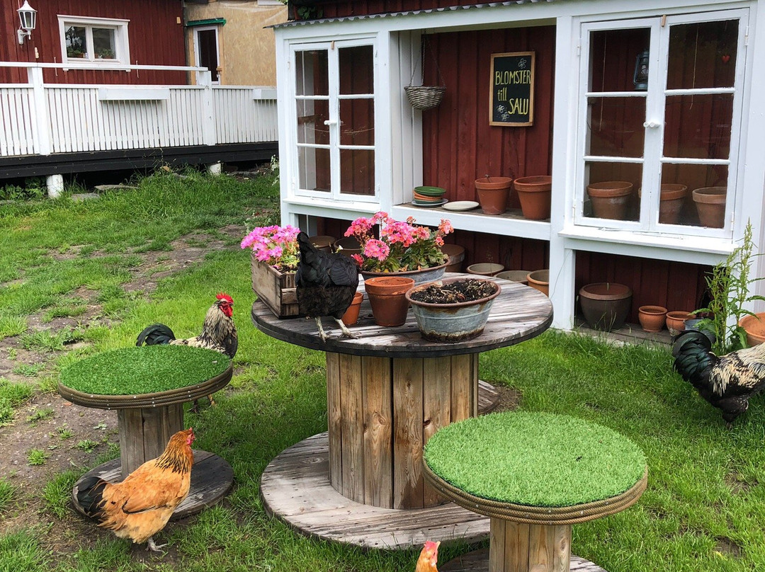 Zanzibar Bed and Breakfast主图