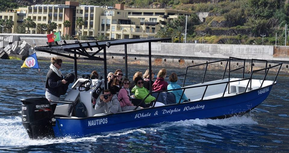 Calheta Touristic Promotions-卡列塔必去景点