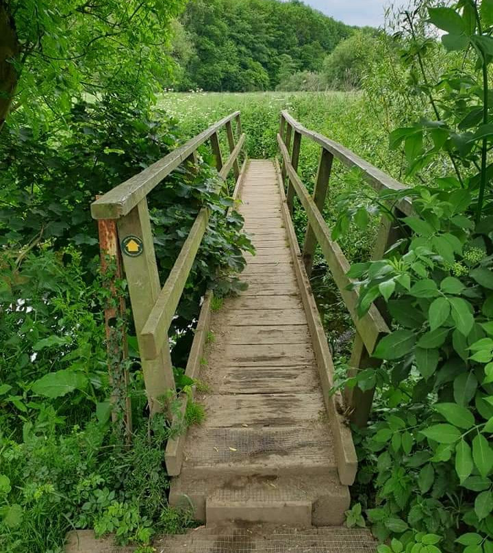 Brockadale Nature Reserve景点图片