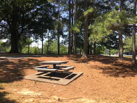 Dacula Park-Dacula必去景点