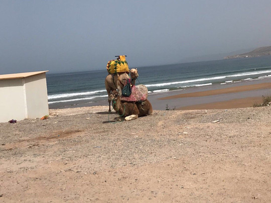 Quad Buggy Agadir-Tamraght必去景点