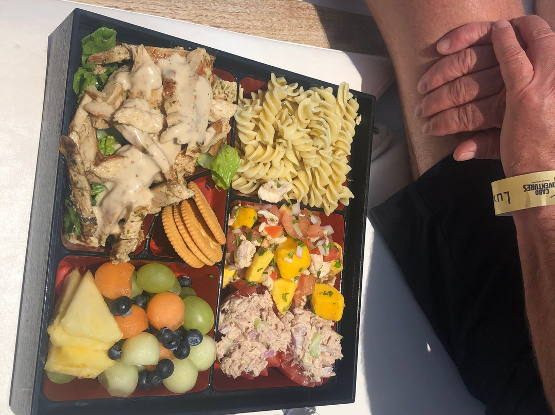 Cabo Adventures - Luxury Sailing Adventure-卡波圣卢卡斯必去景点