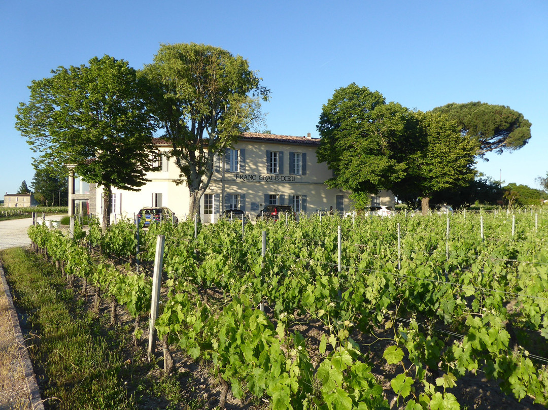 Chateau Franc Grace-Dieu主图