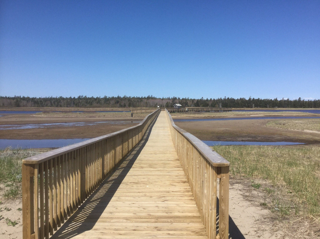 Kouchibouguac National Park景点图片