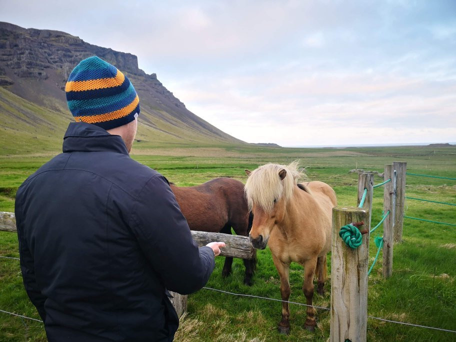 Borgarhofn旅游攻略图片