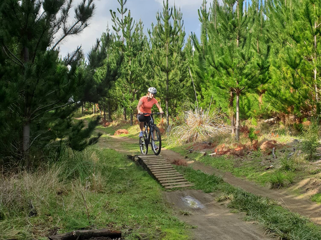 Woodhill Mountain Bike Park景点图片