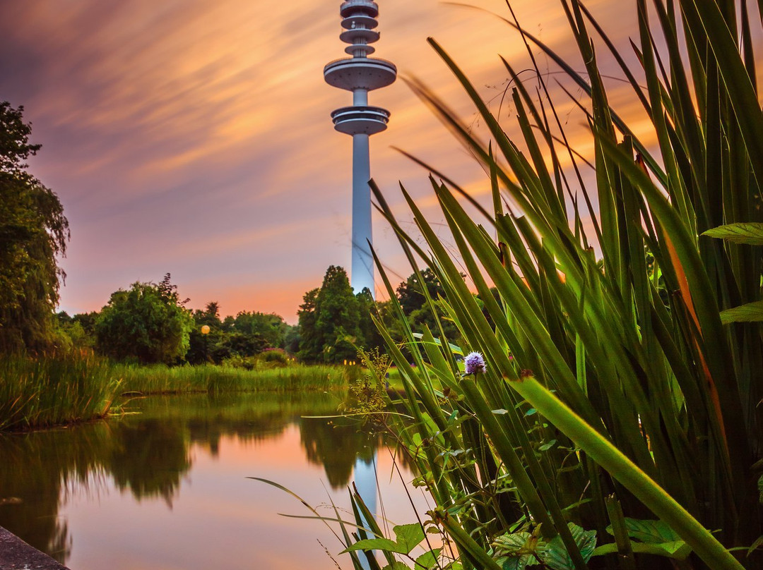 汉堡植物园-汉堡必去景点