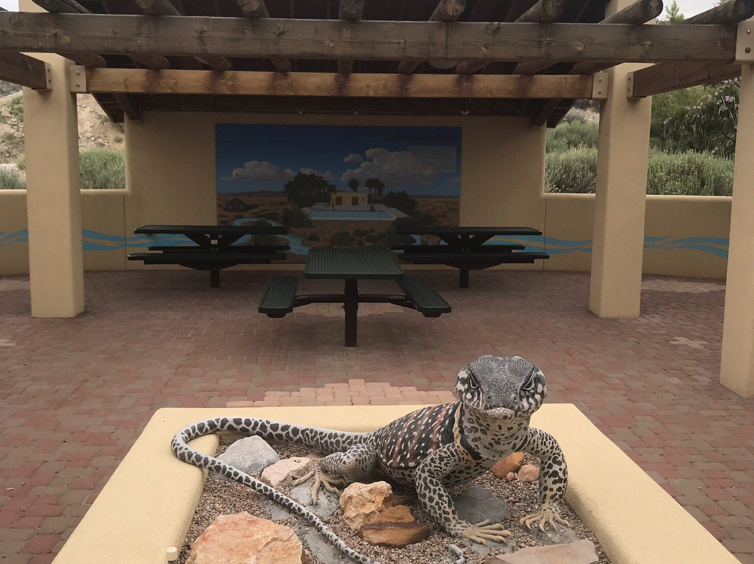 Moapa Valley National Wildlife Refuge-Moapa必去景点