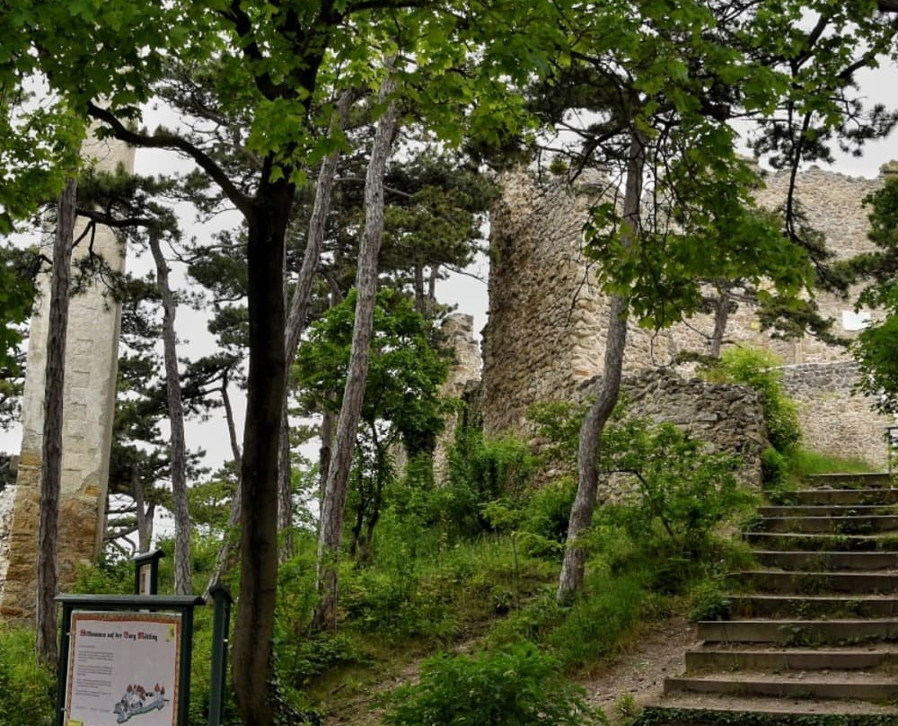 Burgruine Mödling-默德林必去景点