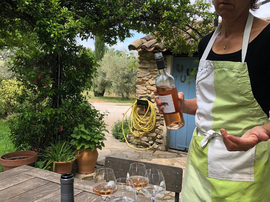 Provencal Cooking景点图片
