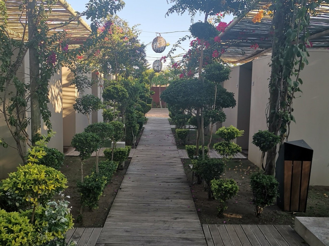 Liv Inn Guest House主图