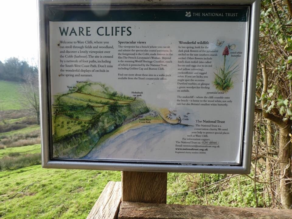 Ware Cliffs景点图片