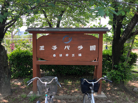 Oji Rose Garden-春日井市必去景点
