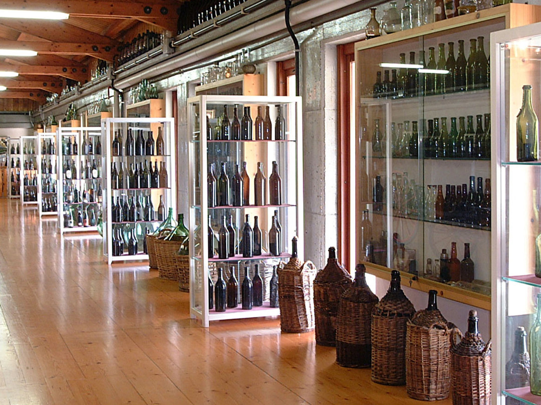 Museo del Vino - Vigneti Pittaro-Zompicchia必去景点