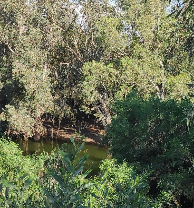 Part HaAgamim-Rishon Lezion必去景点