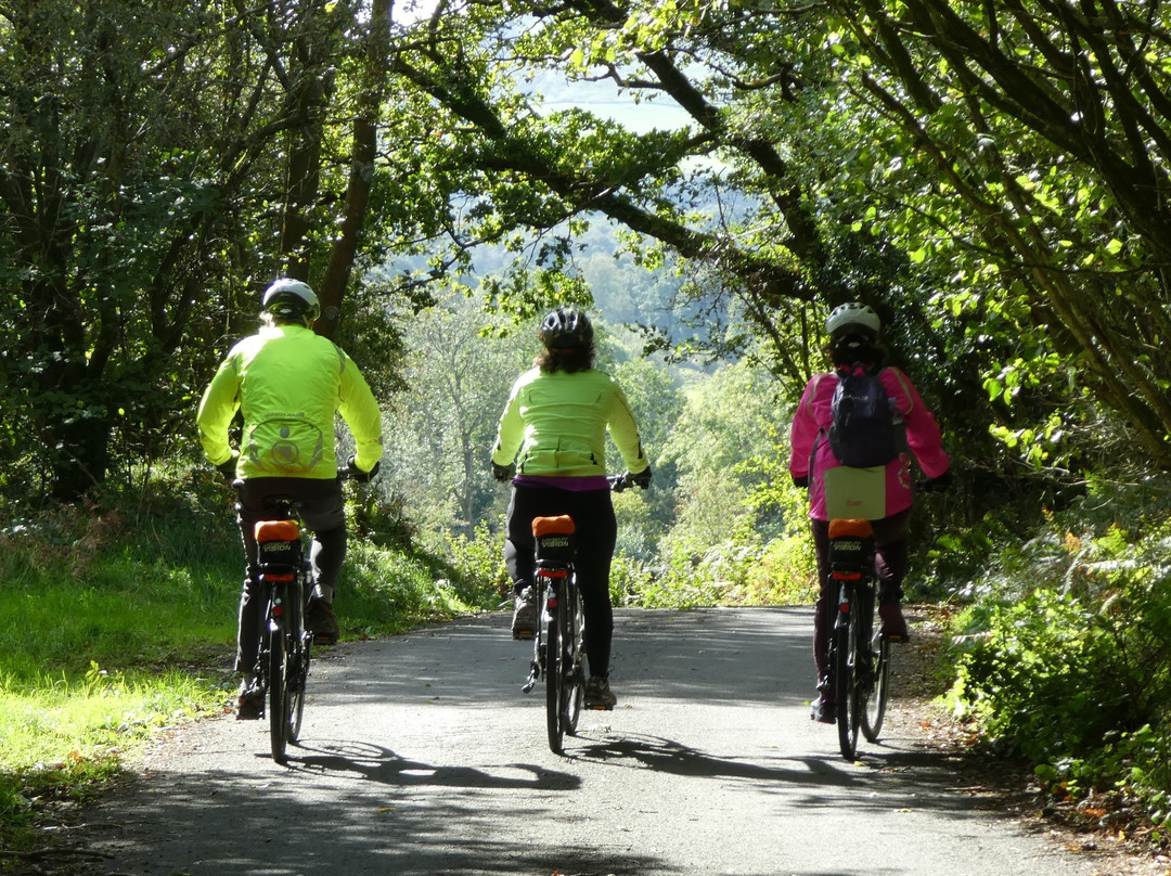 Witherslack Cycle Barn景点图片