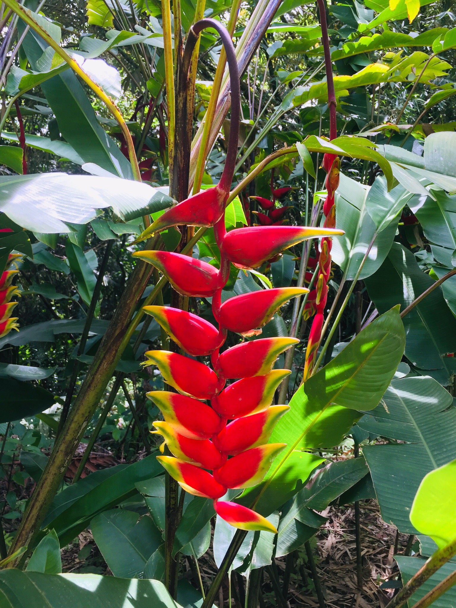 源泉全包酒店-官方