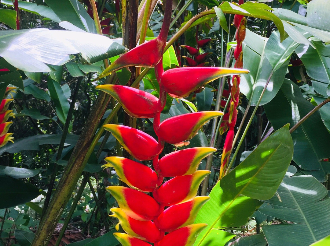 源泉全包酒店主图