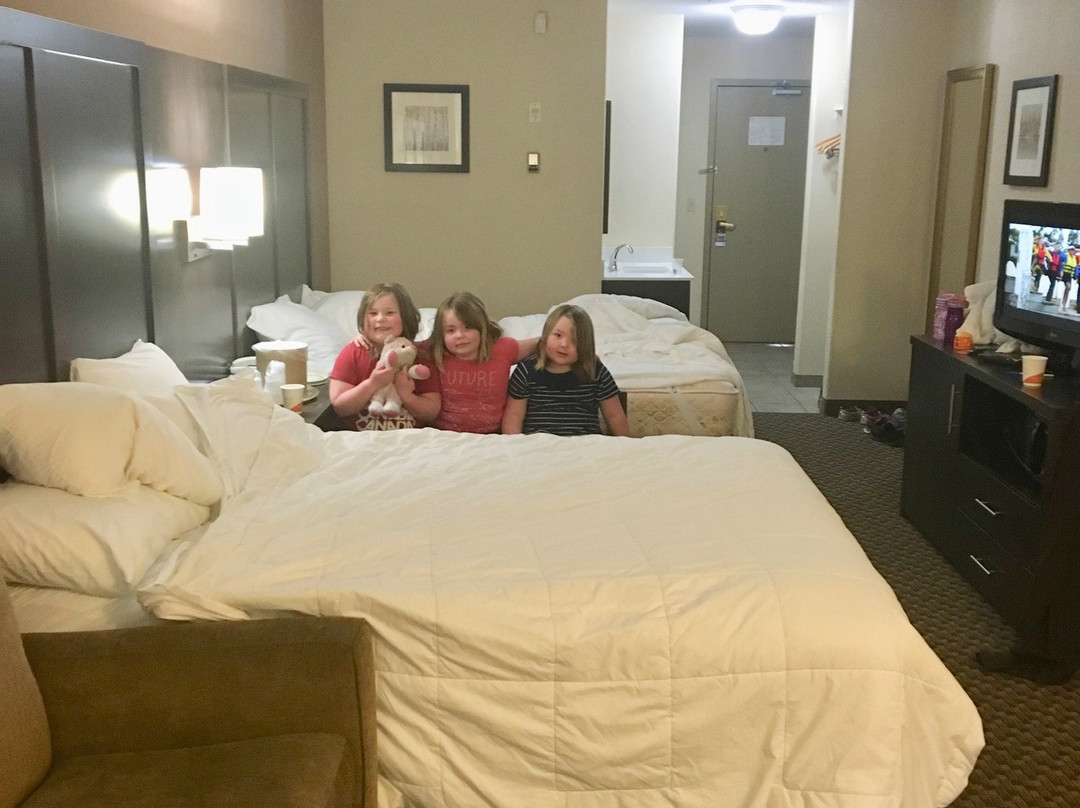 Comfort Inn & Suites主图