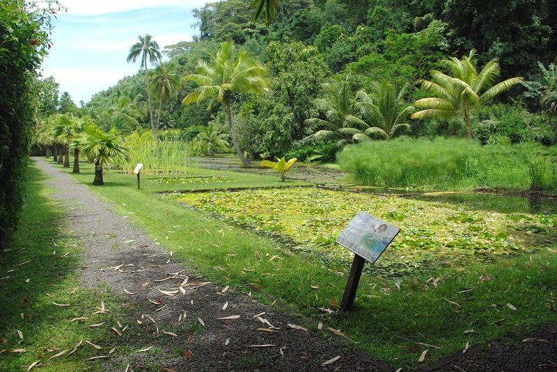 Tahiti Eden Tours景点图片
