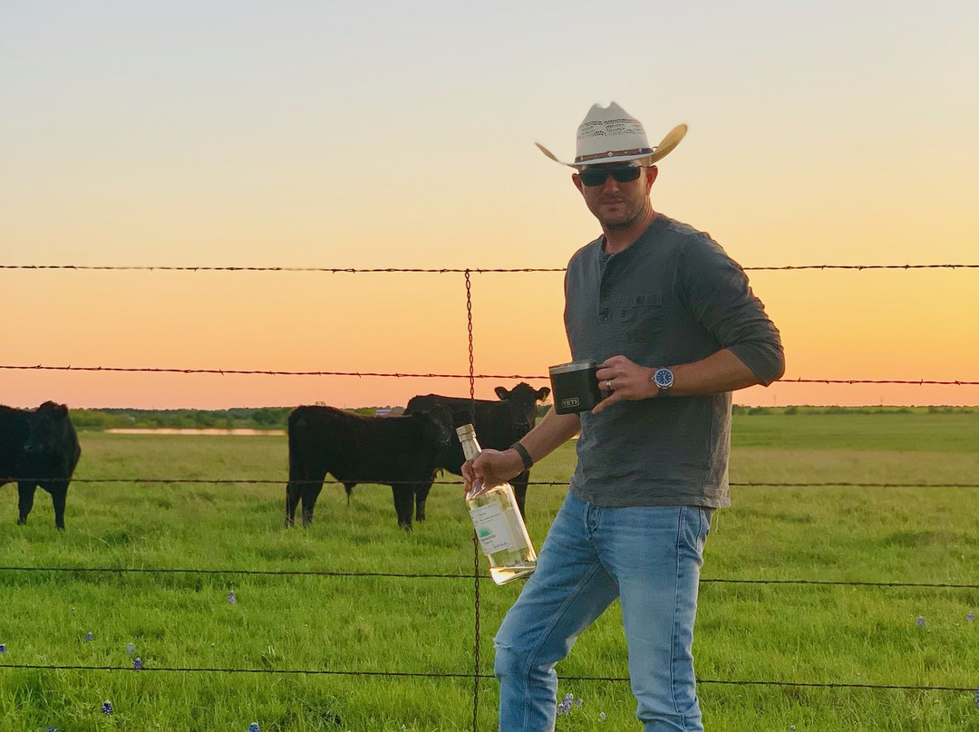 Bluebonnet Trail-恩尼斯必去景点