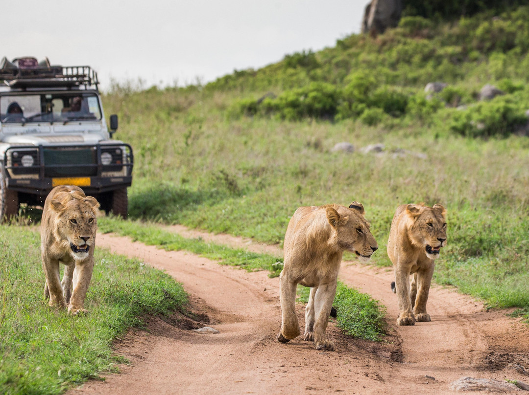 Apexx Tours Tanzania-Dar es Salaam必去景点