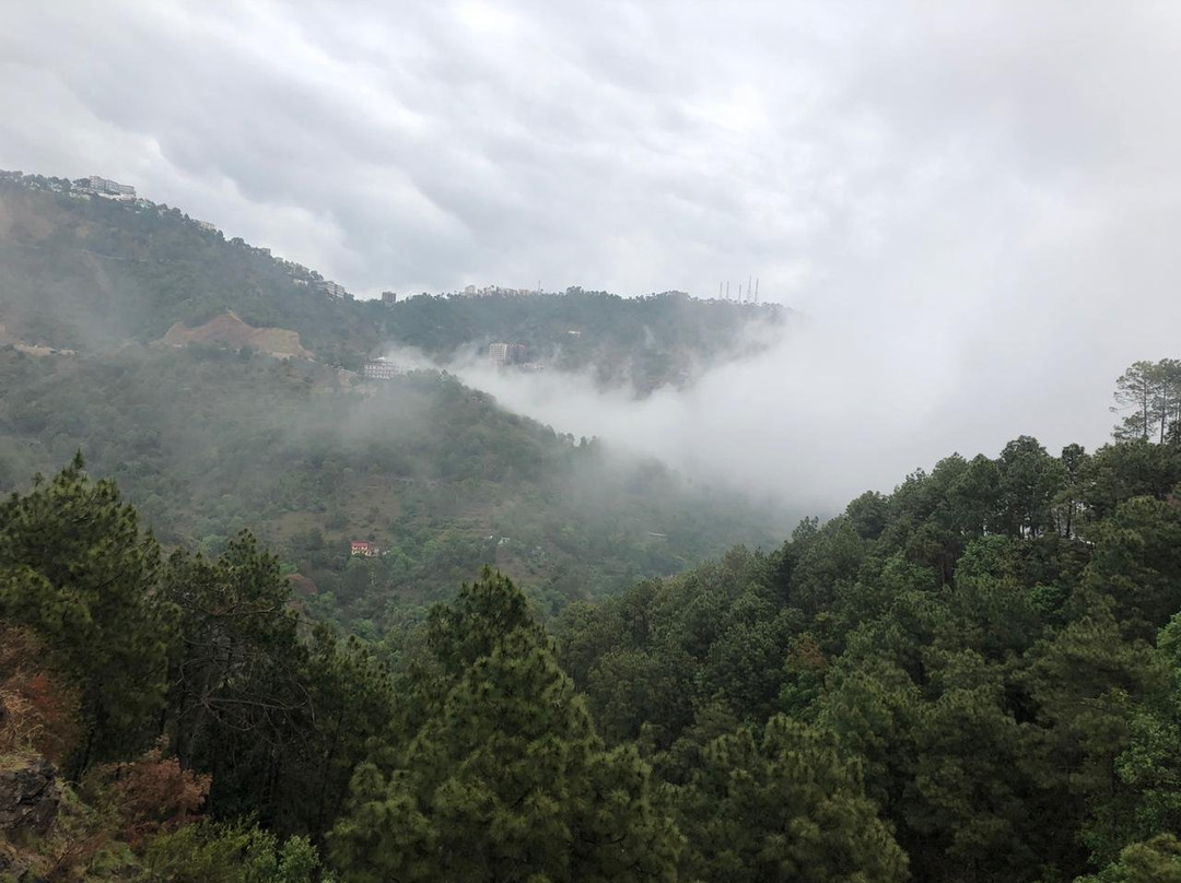 Misty Meadows Resorts主图