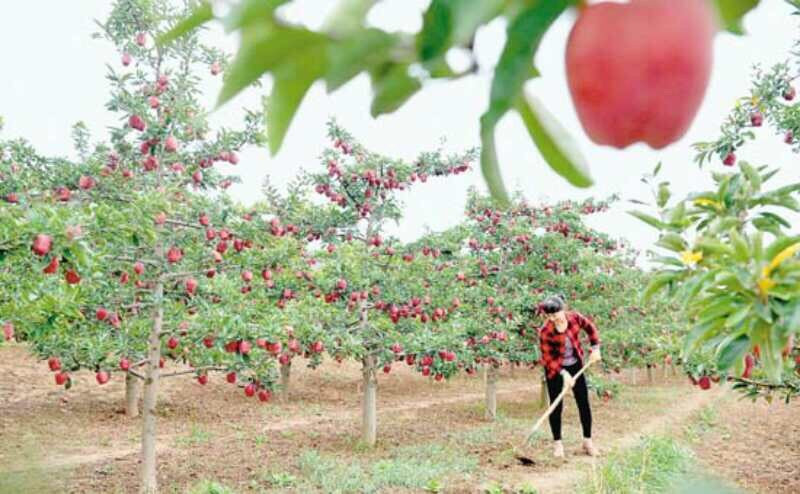 Qishan Shaolin Kung Fu Academy-陇南市必去景点