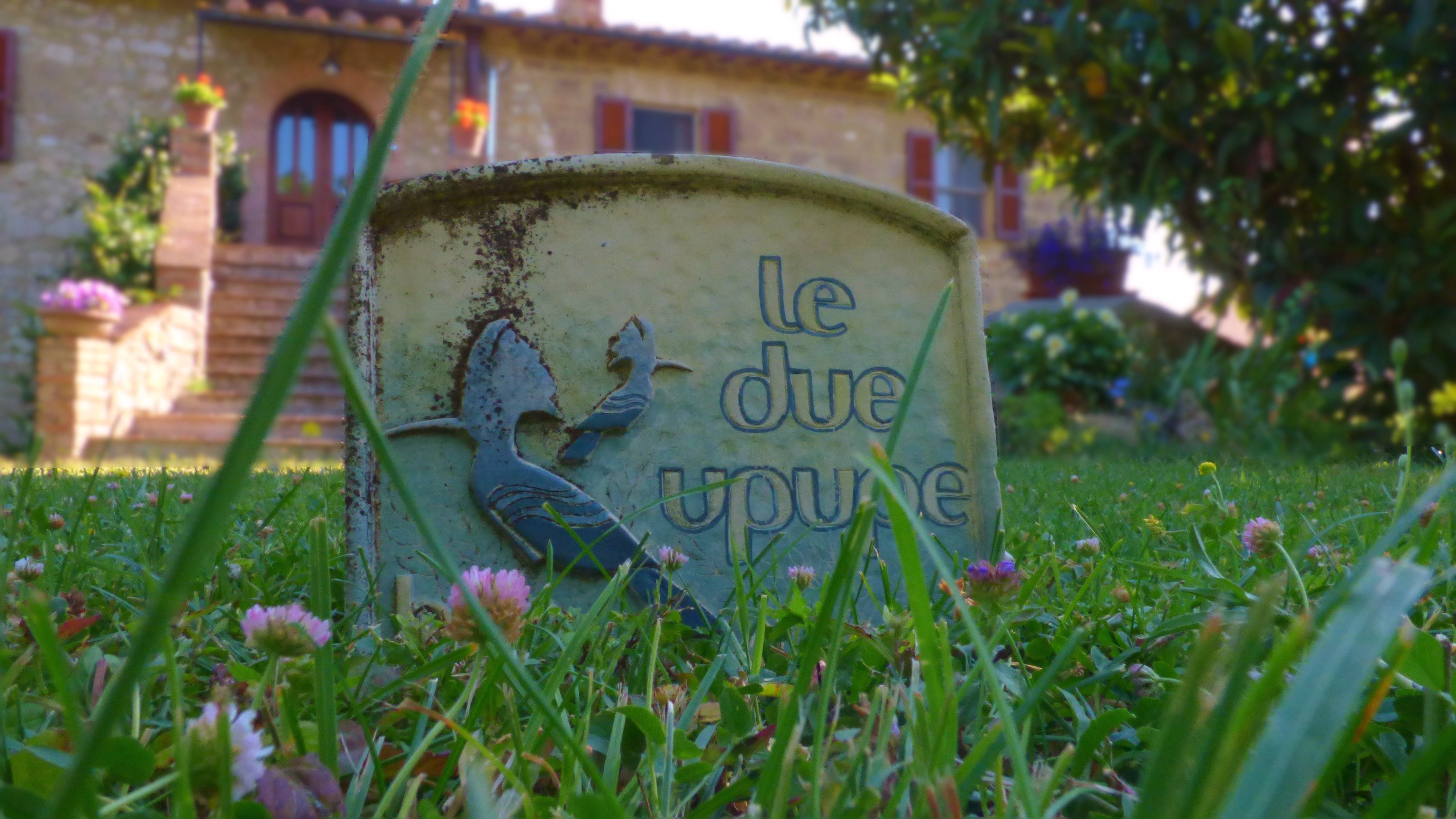 B&B Le due Upupe-官方