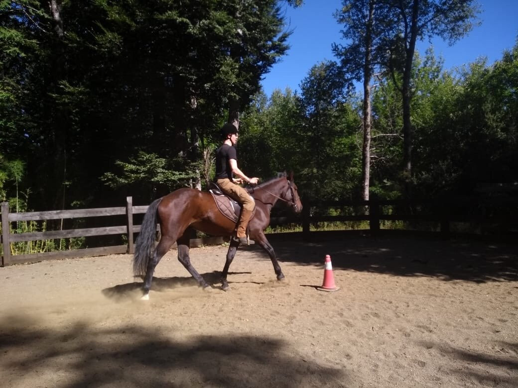 Centro Ecuestre San Pedro-Curarrehue必去景点