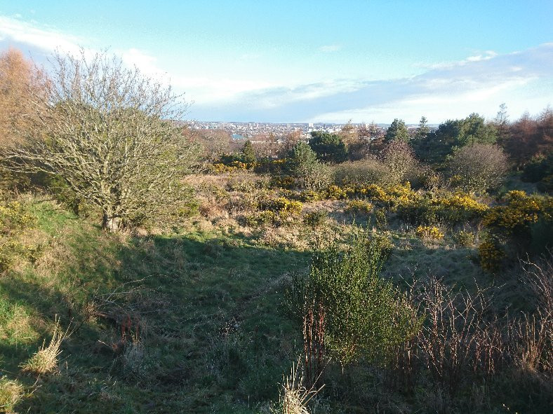 Kincorth Hill Nature Reserve景点图片