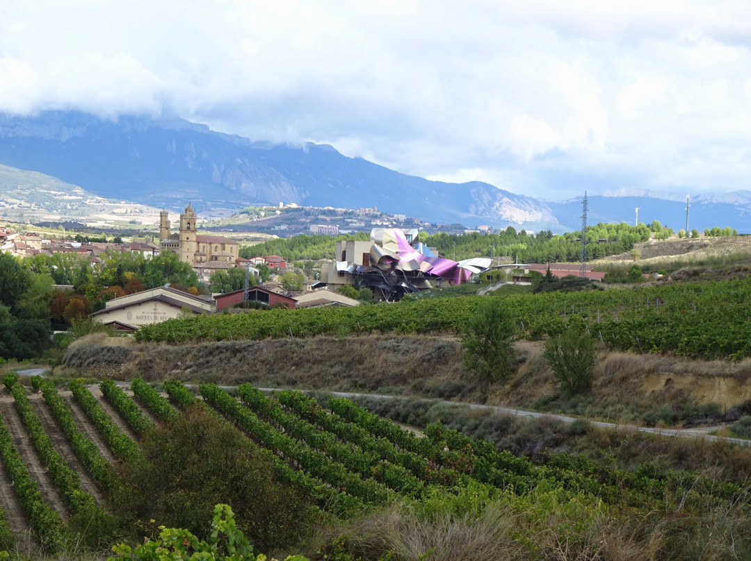 Bodegas Marques de Riscal景点图片