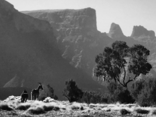 Tej Travel-Debark必去景点