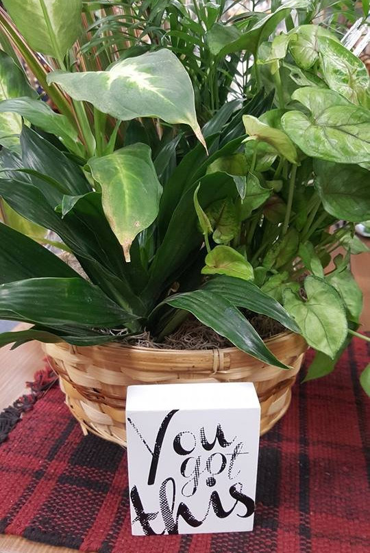 Country Blessings Gifts and Home Decor-Xenia必去景点