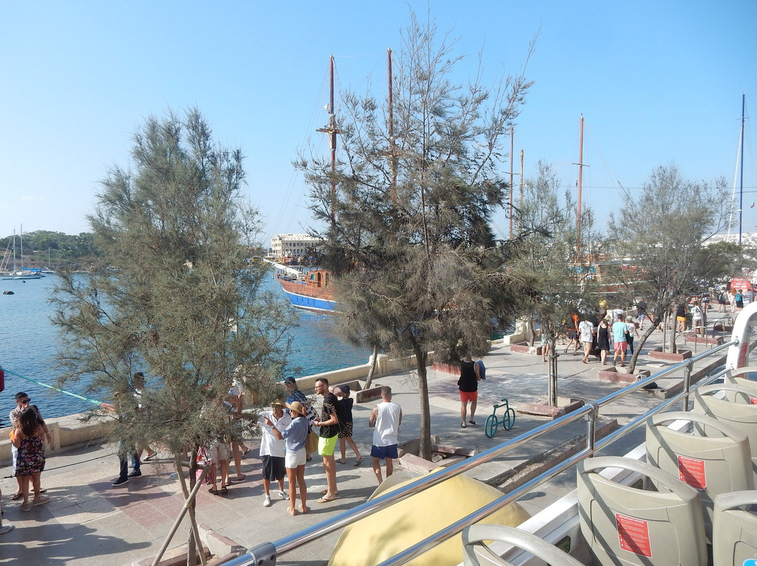 City SightSeeing Malta景点图片