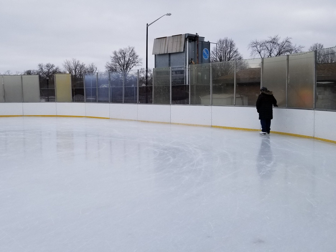 Merrifield Ice Rink景点图片