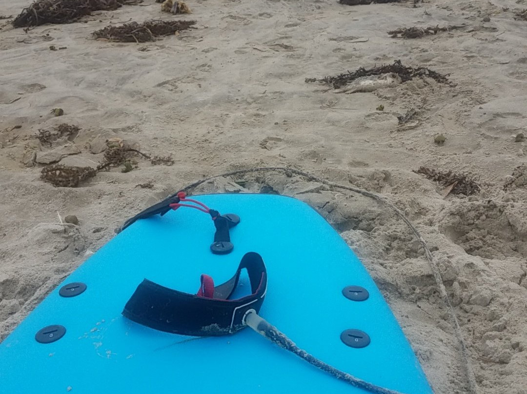 Aotearoa Surf School-Mangawhai必去景点