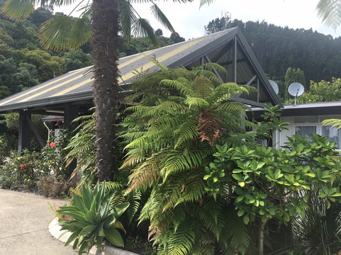 琥珀阁汽车旅馆主图