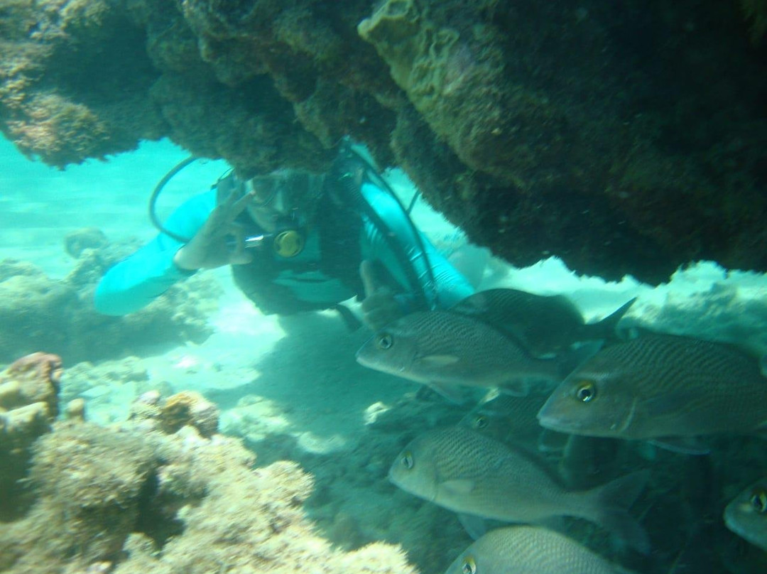 Patricia Turismo-Maragogi必去景点