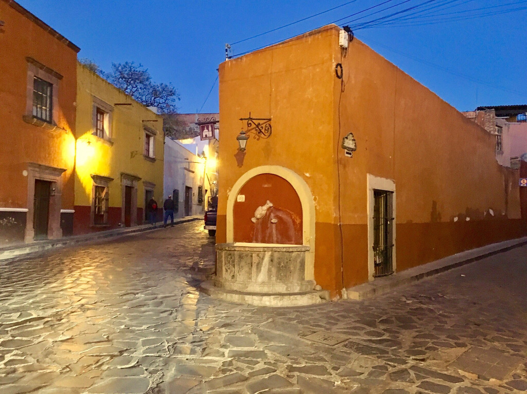 Zenteno Specialty Coffee