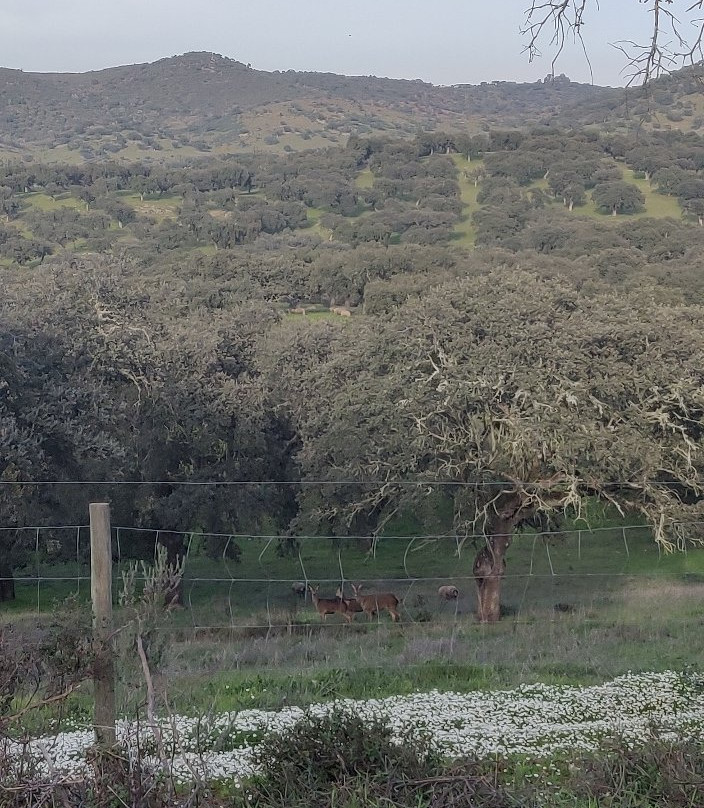 Parque De Natureza De Noudar景点图片