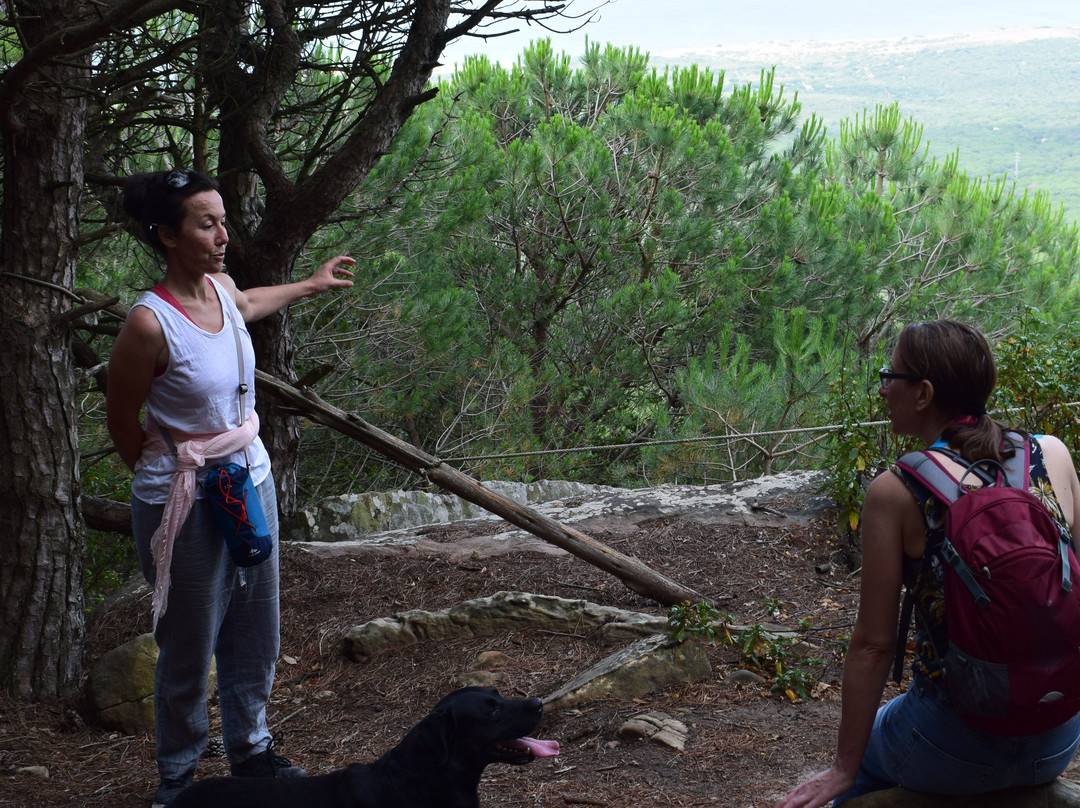 Aventuras Del Sur-塔里法必去景点