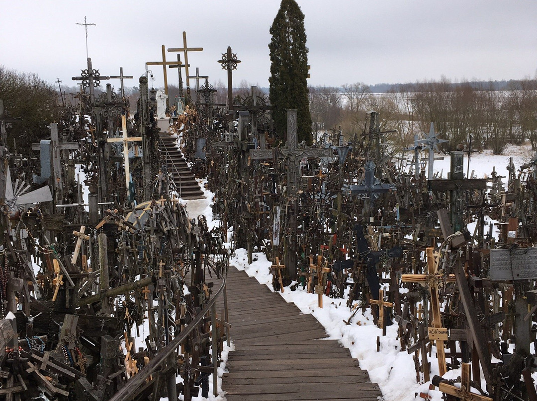 Hill of Crosses Guided Tour景点图片