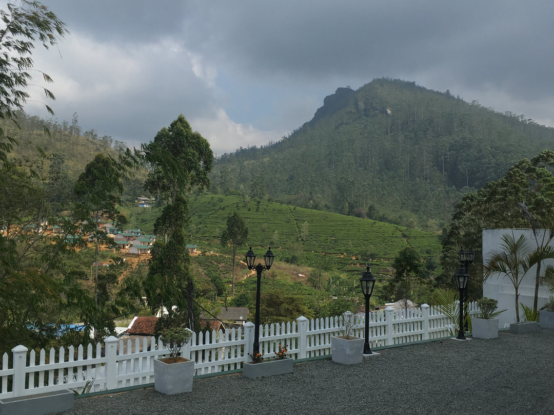 Hotel Mount Castle主图